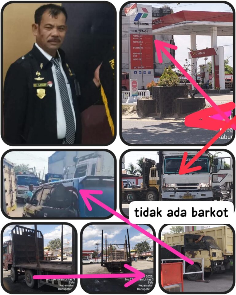 IMG-20251109-WA0204(1)