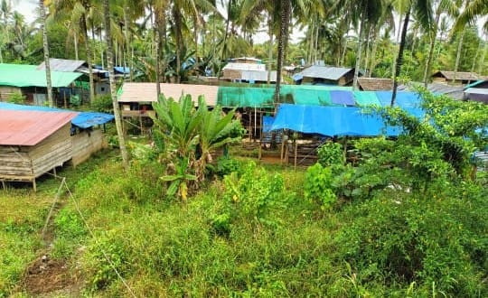 IMG-20251110-WA0088(2)