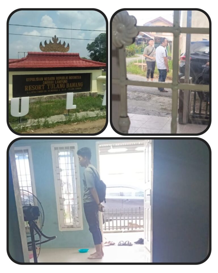 IMG-20251121-WA0046(1)