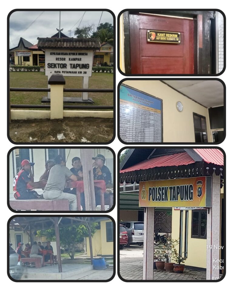 IMG-20251121-WA0048(1)