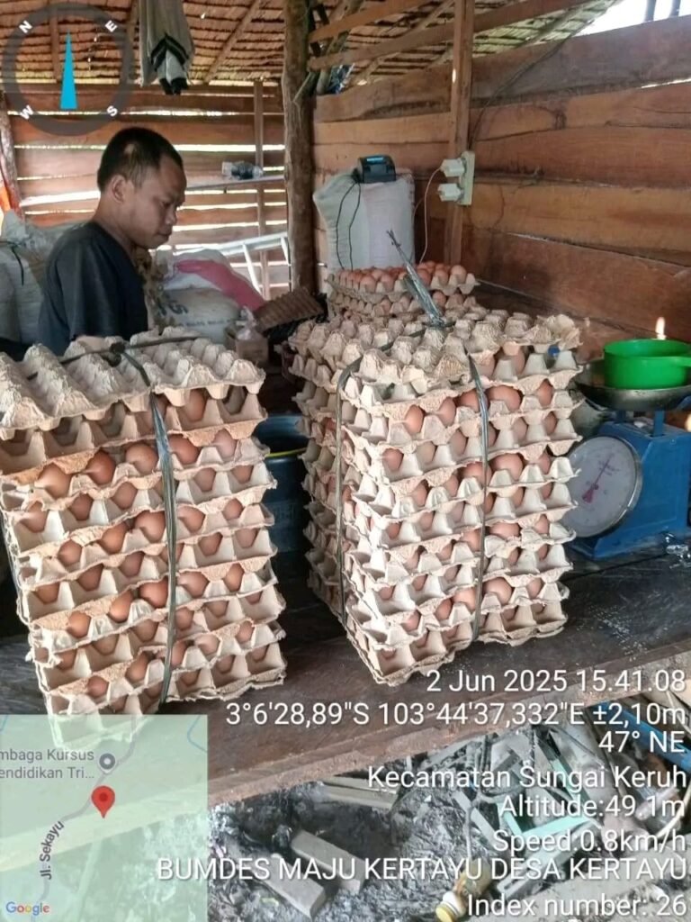 IMG-20251217-WA0137(1)