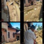 20260215_233416-COLLAGE