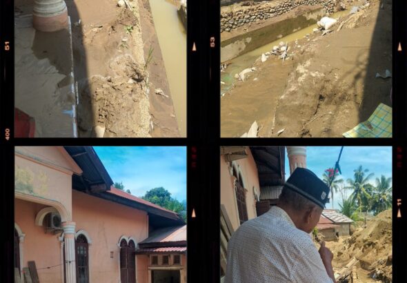 20260215_233416-COLLAGE