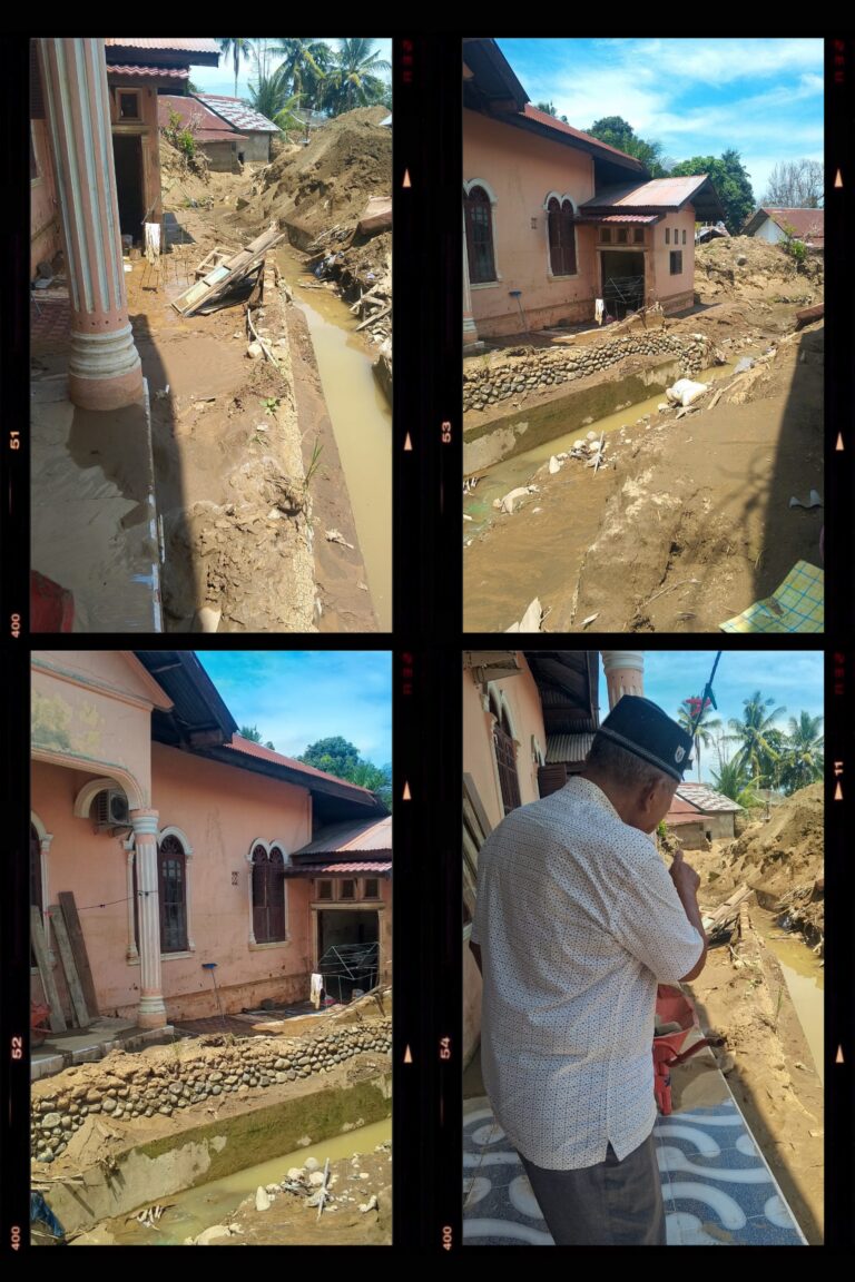 20260215_233416-COLLAGE