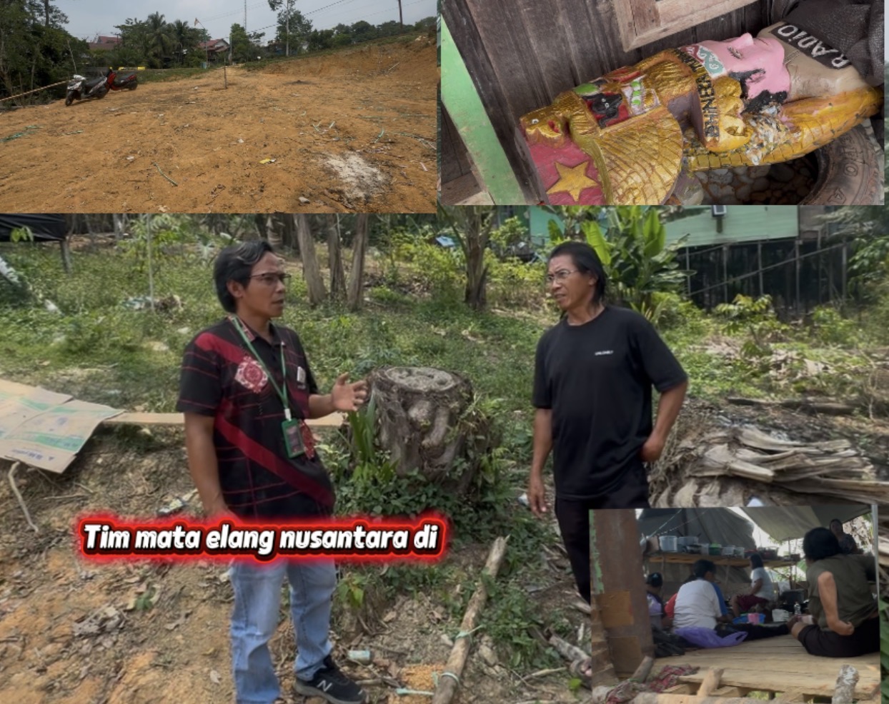 Tim mata elang nusantara id